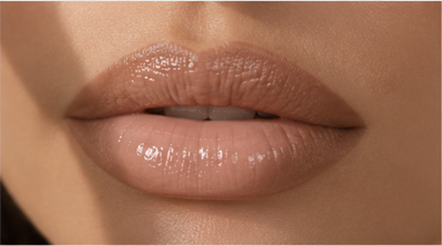 The Duo · Contour It + Amp It